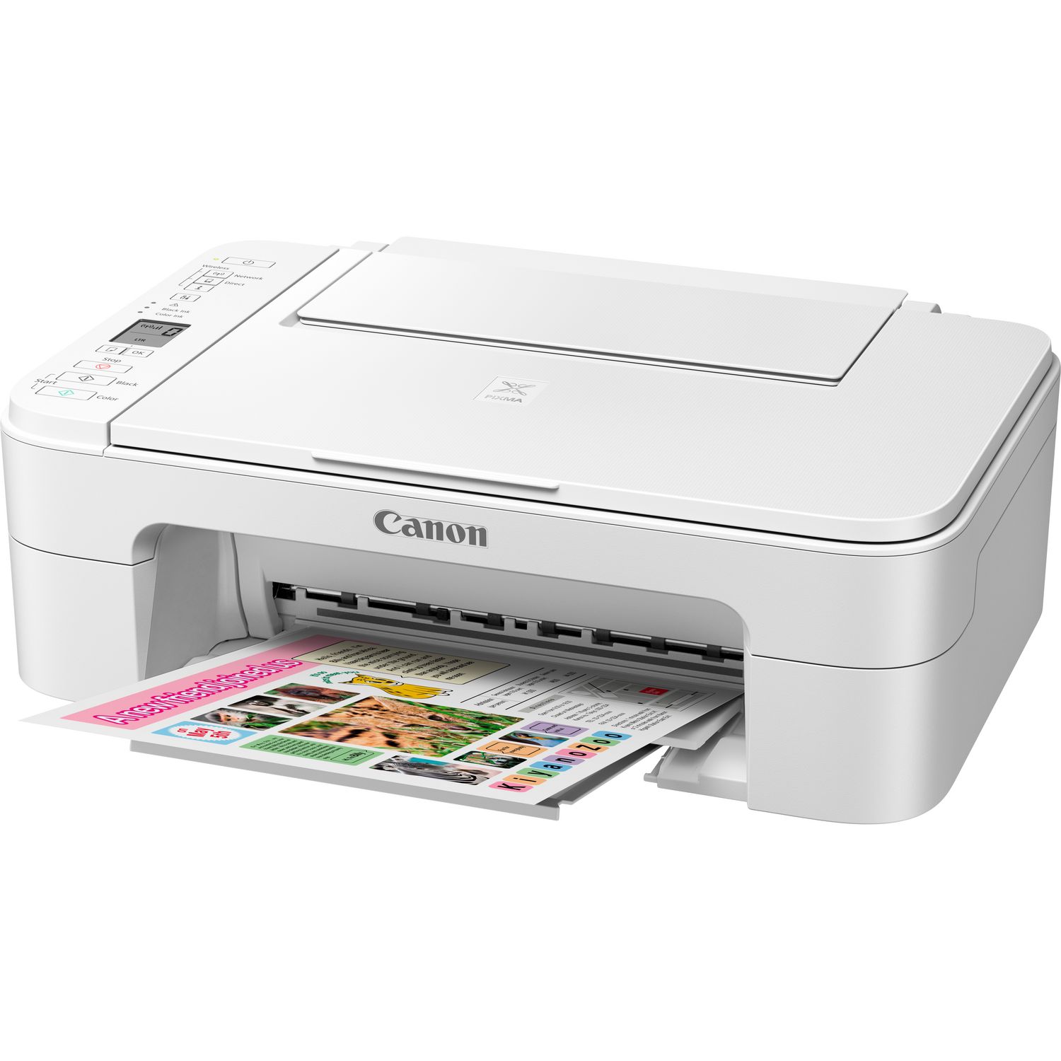 Canon Pixma TS3151